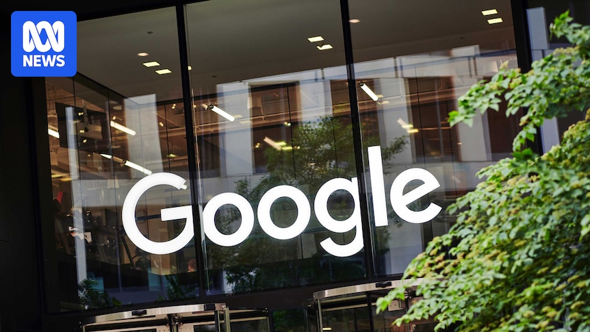 mojeek's tweet card. The cost of building a search engine to rival Google may number in the billions of dollars — but that's not the only challenge to competing with the tech giant.