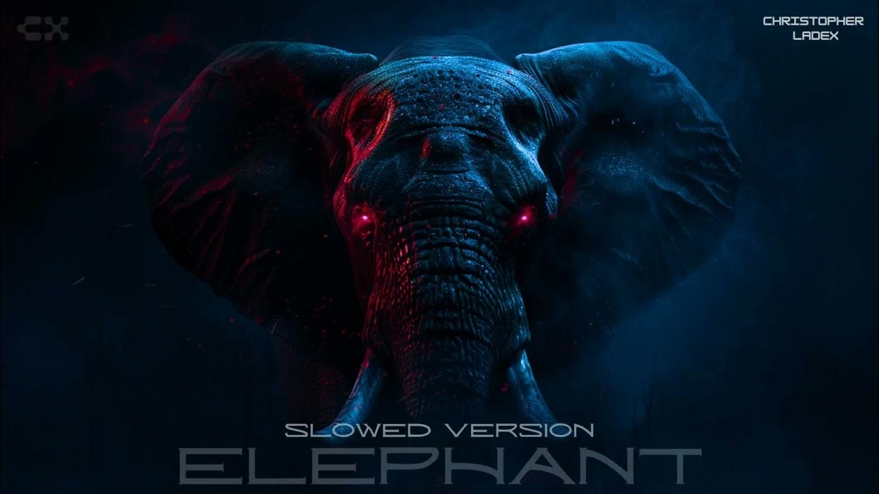 idontexistTore's tweet card. Christopher Ladex - ELEPHANT (Slowed Version) [TikTok]