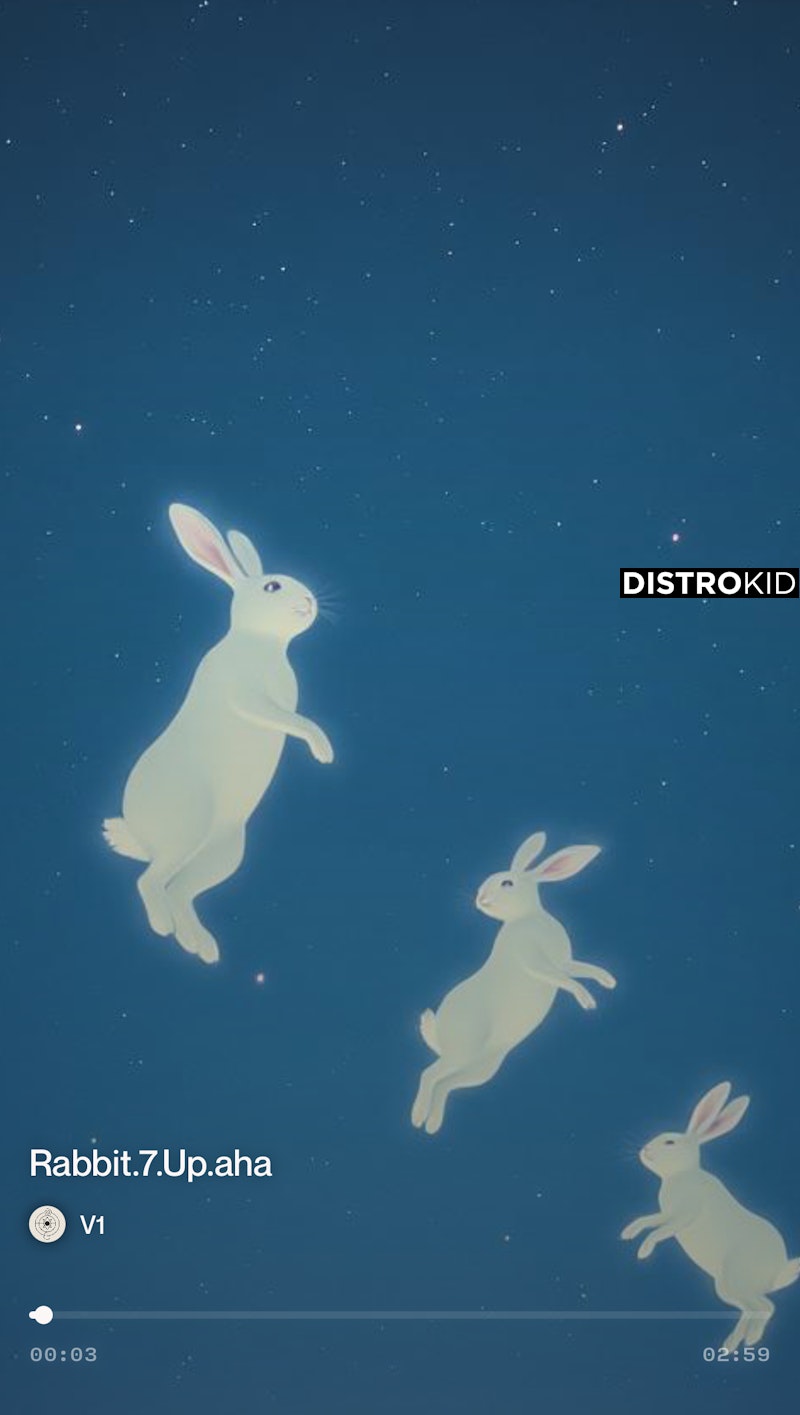 VidjoLibo's tweet card. Stream and Save Fly - Distributed by DistroKid