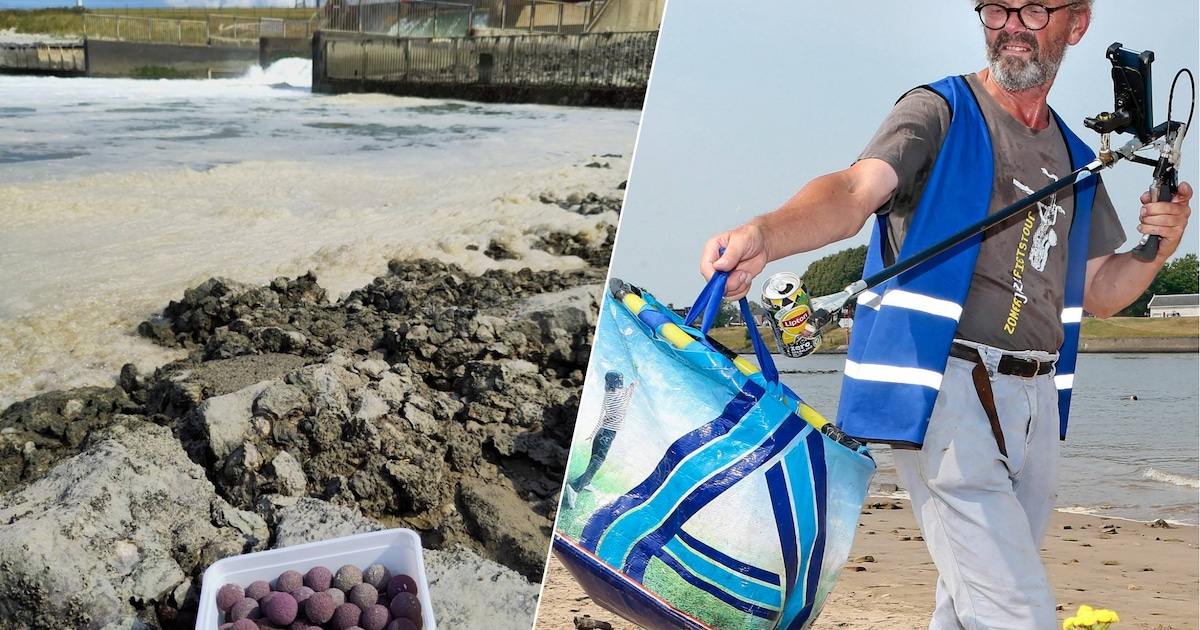 Lekjutter's tweet card. Het Kalootstrand bij Borssele staat bekend als dé hotspot voor haaientanden. Maar de kans is groter dat je op het strand rubberen balletjes uit het koelsysteem van de kerncentrale vindt. Zwerfafval...