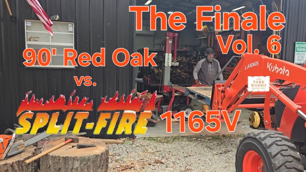 theyorkwoods's tweet card. 90' Red Oak vs Split-Fire 1165V. The Final Episode... Thankfully