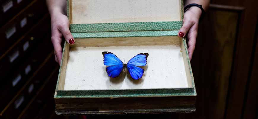 ECPR_TheLoop's tweet card. We need to break democracy out of the disciplinary boundaries of political studies. A fresh, multidisciplinary approach to reimagining democracy, argues Mouli Banerjee, could be the antidote to the...