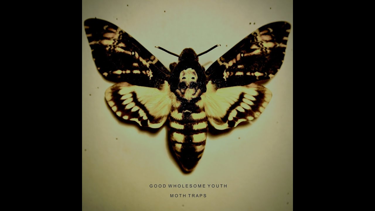 ExposedCode's tweet card. Good Wholesome Youth