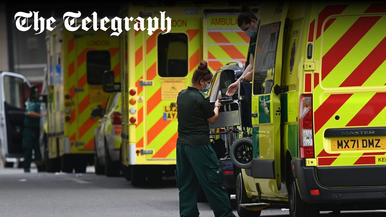 Telegraph's tweet card. Unexplained excess deaths outstrip those from virus as medics call figures ‘terrifying’