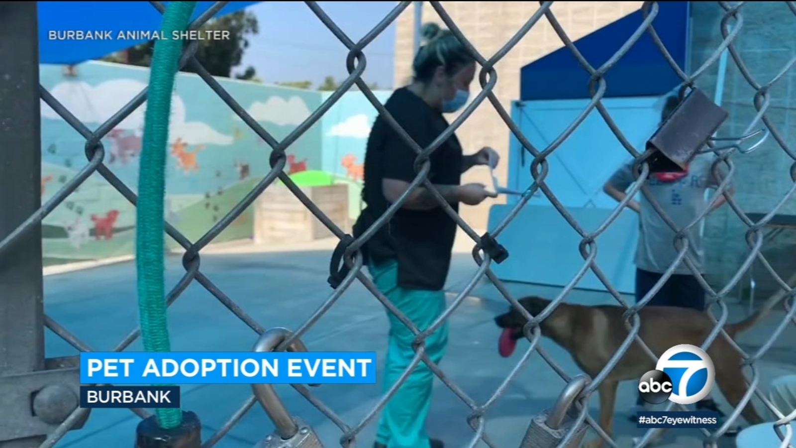 Comm332CSUF's tweet card. It's being billed as the world's largest national cooperative pet adoption event, and it's happening in Southern California.