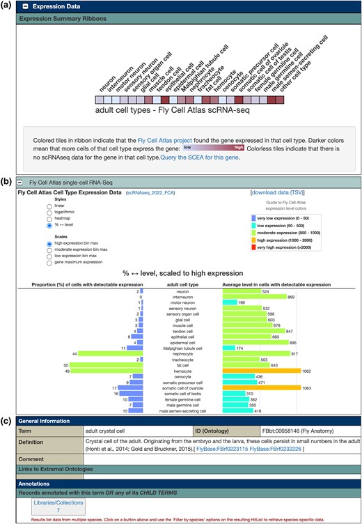FlyBaseDotOrg's tweet card. Abstract. FlyBase (flybase.org) is a model organism database and knowledge base about Drosophila melanogaster, commonly known as the fruit fly. Researchers
