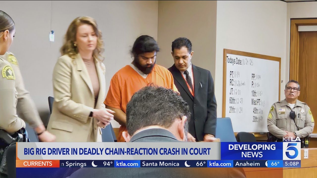 rajeevd18gmail's tweet card. Big-rig driver in deadly Ontario multi-car crash appears in court