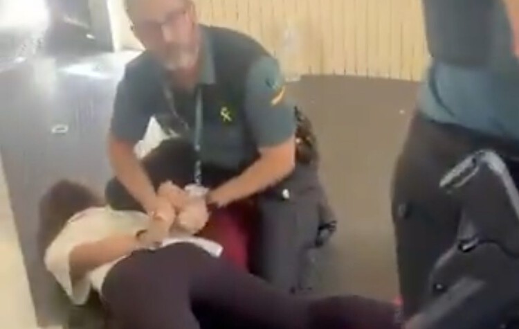 turtlebee2's tweet card. Spanish airline Vueling removes summer camp director and 50 children for ‘compromising passenger safety’