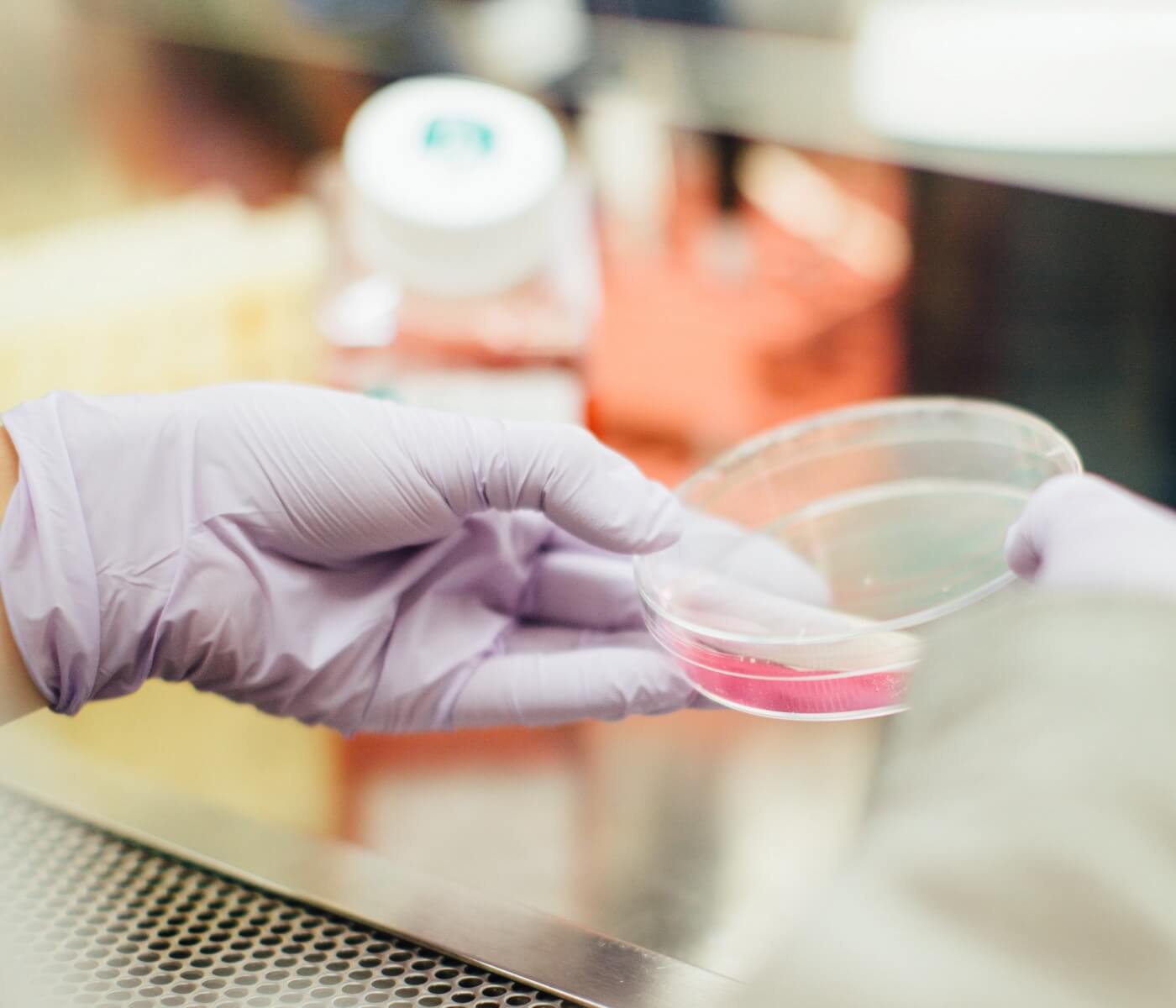 EndCosmeticTest's tweet card. Cruel animal tests are wasteful and often fail. Learn more about state-of-the-art animal testing alternatives like in vitro and in silico methods.