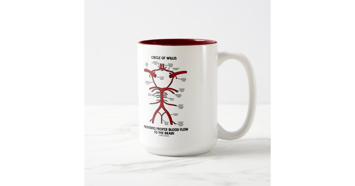 wordsandunwords's tweet card. Educational, scientific, anatomical attitude is alive and well on any of these gifts featuring the Circle of Willis, the structure of arteries that provide blood flow to the brain. Make others do a...