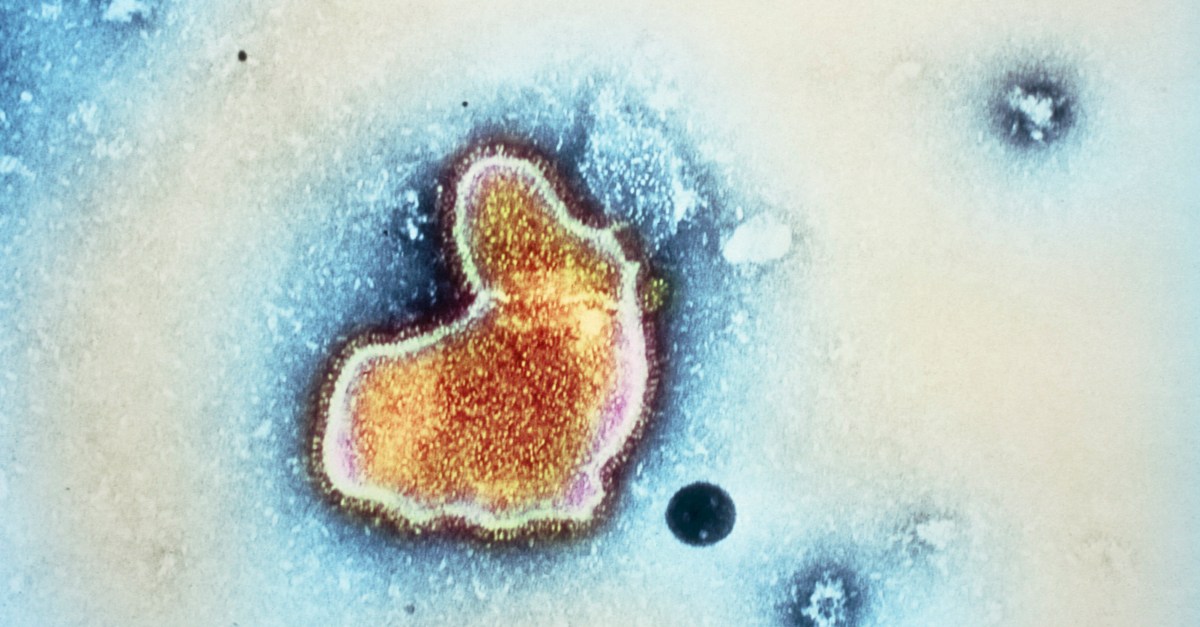 voxdotcom's tweet card. The broken US health care system is a long-term barrier to Beyfortus access.