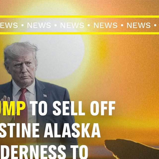 frmikealexander's tweet card. Greenpeace USA (@greenpeaceusa) • Instagram photos and videos