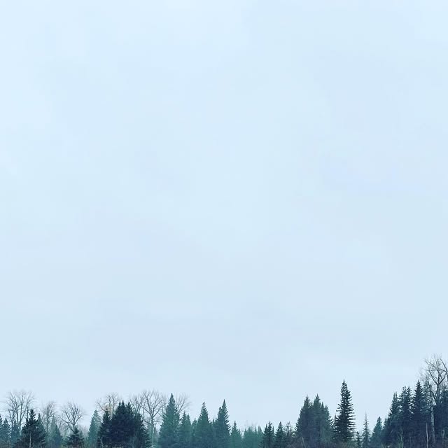 jonozantingh's tweet card. Jono Zantingh (@jonozantingh) • Instagram photo