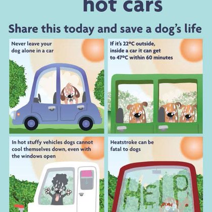 Tweet card summary image