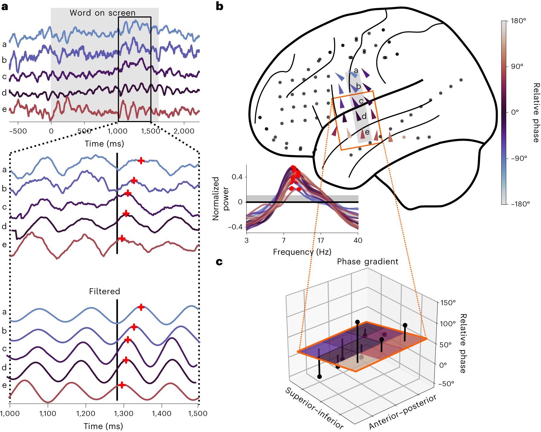 uma_r_mohan's tweet card. Nature Human Behaviour - How does the brain support a wide range of behaviours? Mohan et al. examine how the direction of travelling waves of neural oscillations coordinates interactions between...