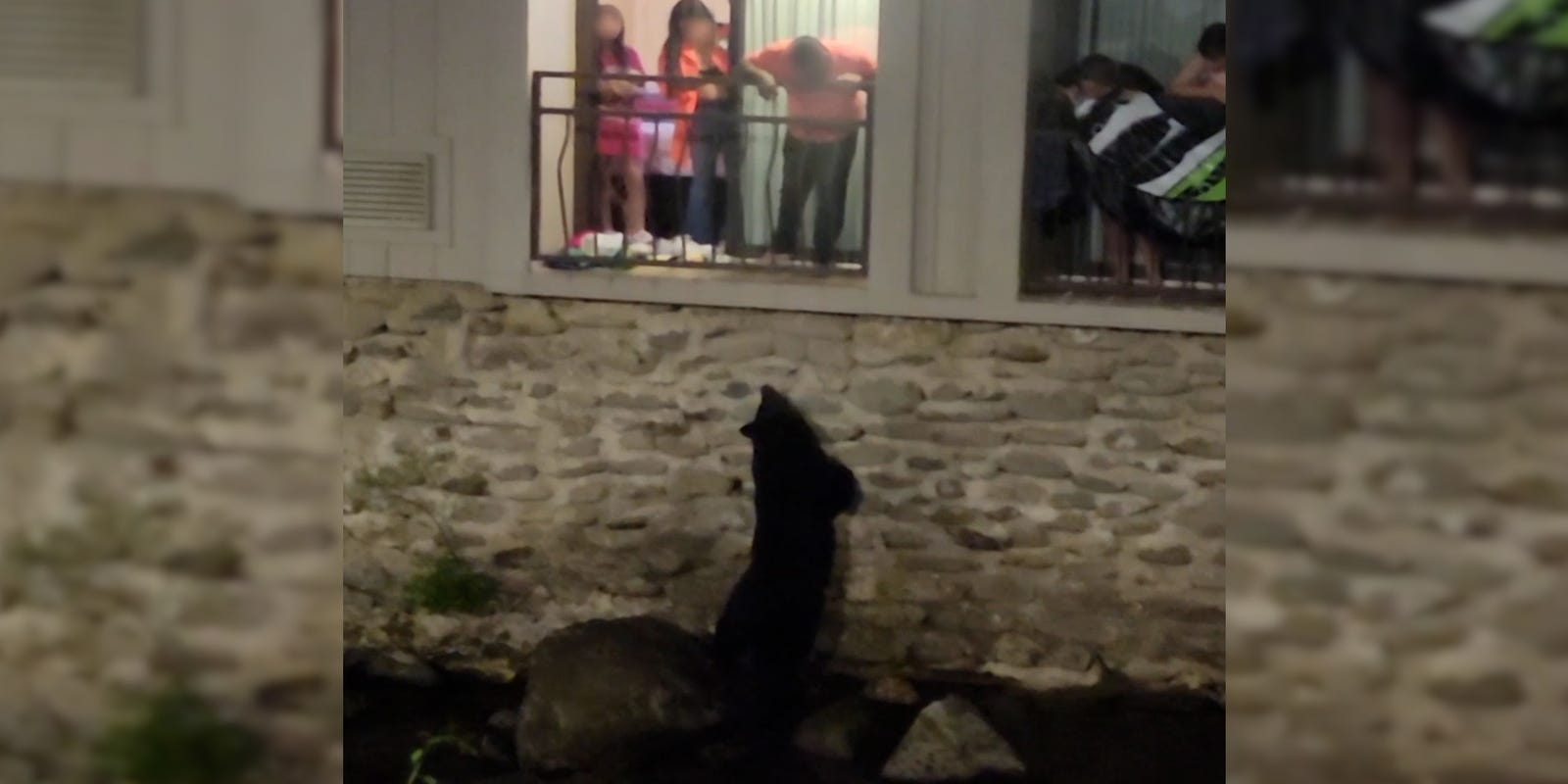 ledesma5000's tweet card. Footage shot June 25 by Michelle Payne shows people purposely throwing food to a family of bears behind the Sidney James Lodge in downtown Gatlinburg.