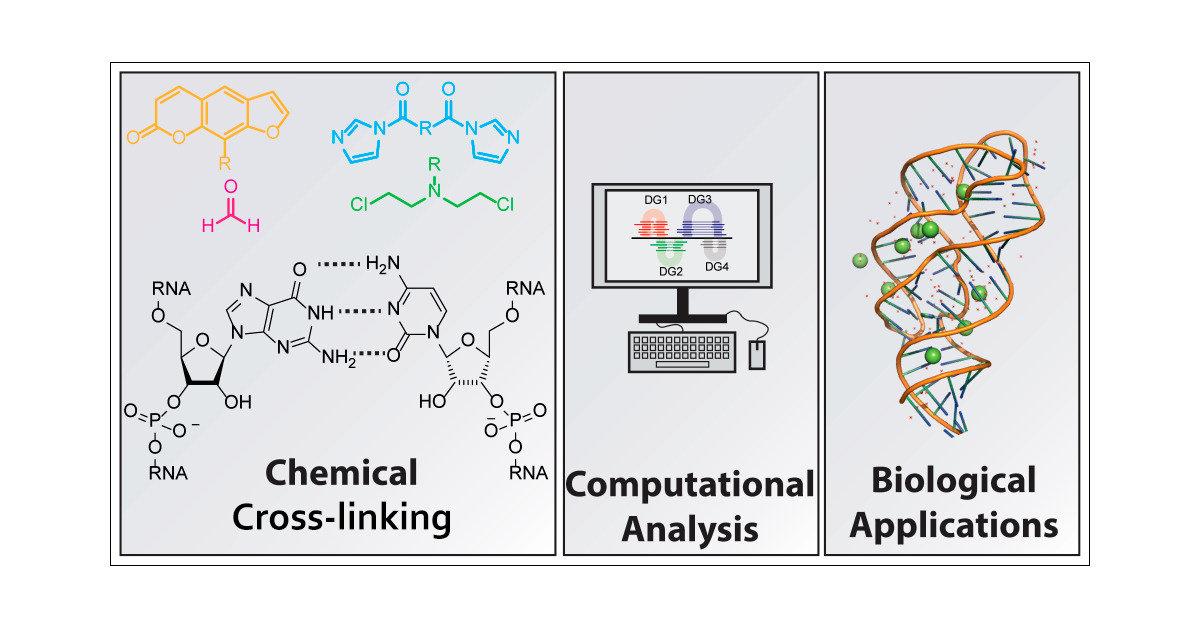 LabVelema's tweet card. In recent years, RNA has emerged as a multifaceted biomolecule that is involved in virtually every function of the cell and is critical for human health. This has led to a substantial increase in...