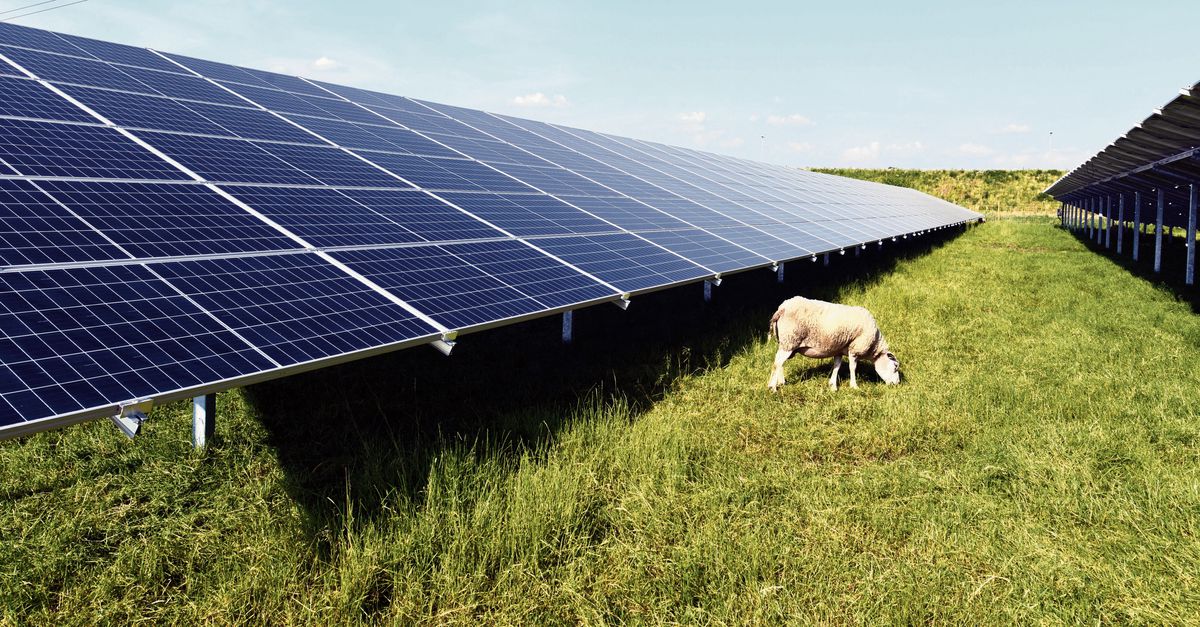 ooosting's tweet card. Elektriciteit: Het Nederlandse stroomnet kan het snel groeiende aanbod van zonne-energie niet aan. Twintig zonneparken staan op een wachtlijst voor aansluiting.