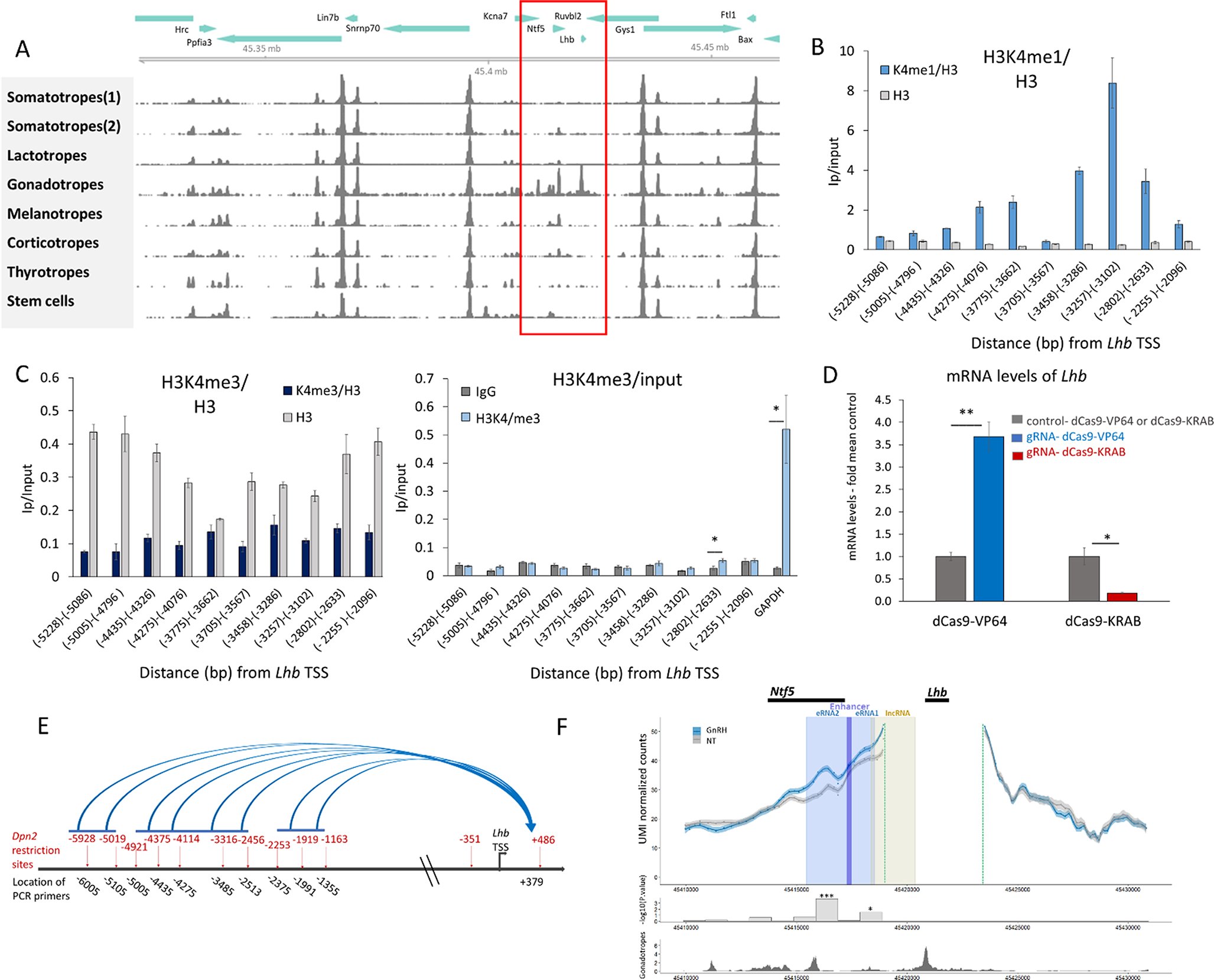 Refael_Tal's tweet card. Cellular and Molecular Life Sciences - Genome-wide studies have demonstrated regulatory roles for diverse non-coding elements, but their precise and interrelated functions have often remained...