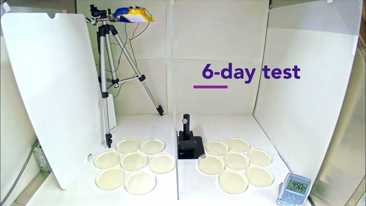 Care222Tech's tweet card. Care222 Far UV-C Technology: The 144 Hour Mold Spread Suppression Test