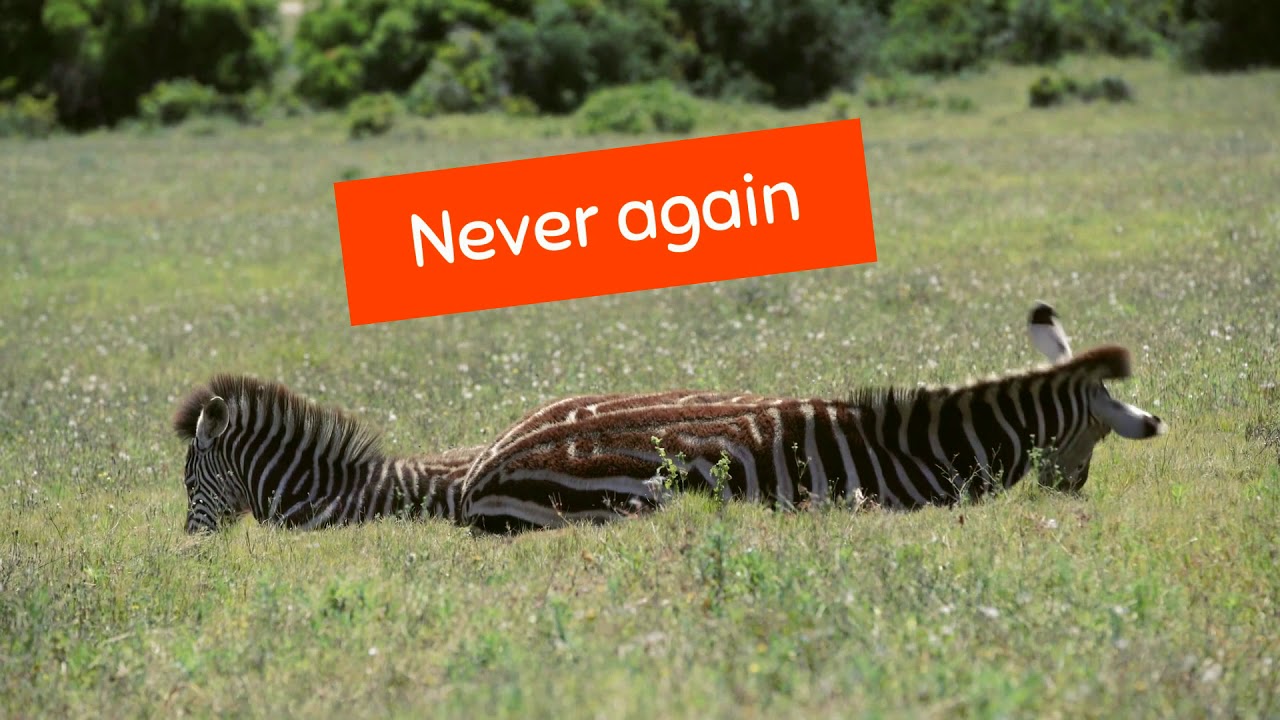 FreeUp_App's tweet card. Never Wear The Same Dress Again - FreeUp App