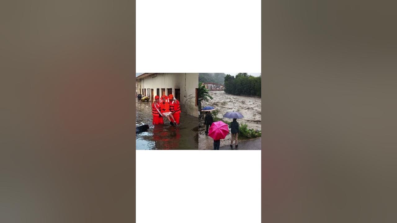 rajuasari's tweet card. అక్రమంగా చెట్లు నరికివేయడం వల్లే వరదలు