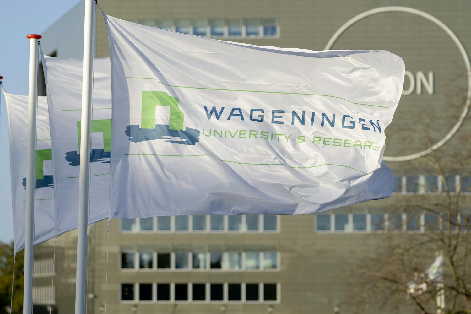 TonvanderHam's tweet card. Uit berichtgeving van onderzoeksplatform Zembla blijkt dat een onderzoeker van de Universiteit Wageningen meewerkte aan de lobbycampagne van een pesticideno...