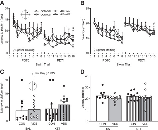 IniguezLab's tweet card. Ketamine (KET) is administered to manage major depression in adolescent patients. However, the long-term effects of juvenile KET exposure on memory-related tasks have not been thoroughly assessed. We...