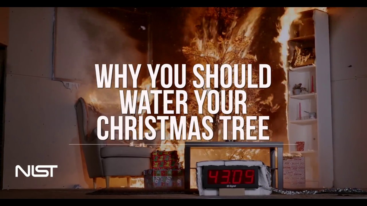 SHProtection's tweet card. Christmas Tree Fire: Watered Tree vs. Dry Tree