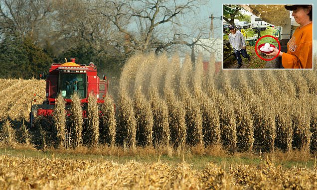 CCB_NOVA's tweet card. A tiny Nebraska town with less than 4,000 residents was left in ruins after softball-sized hail storm battered homes, shattered windows, and caused $100 million in property damage.