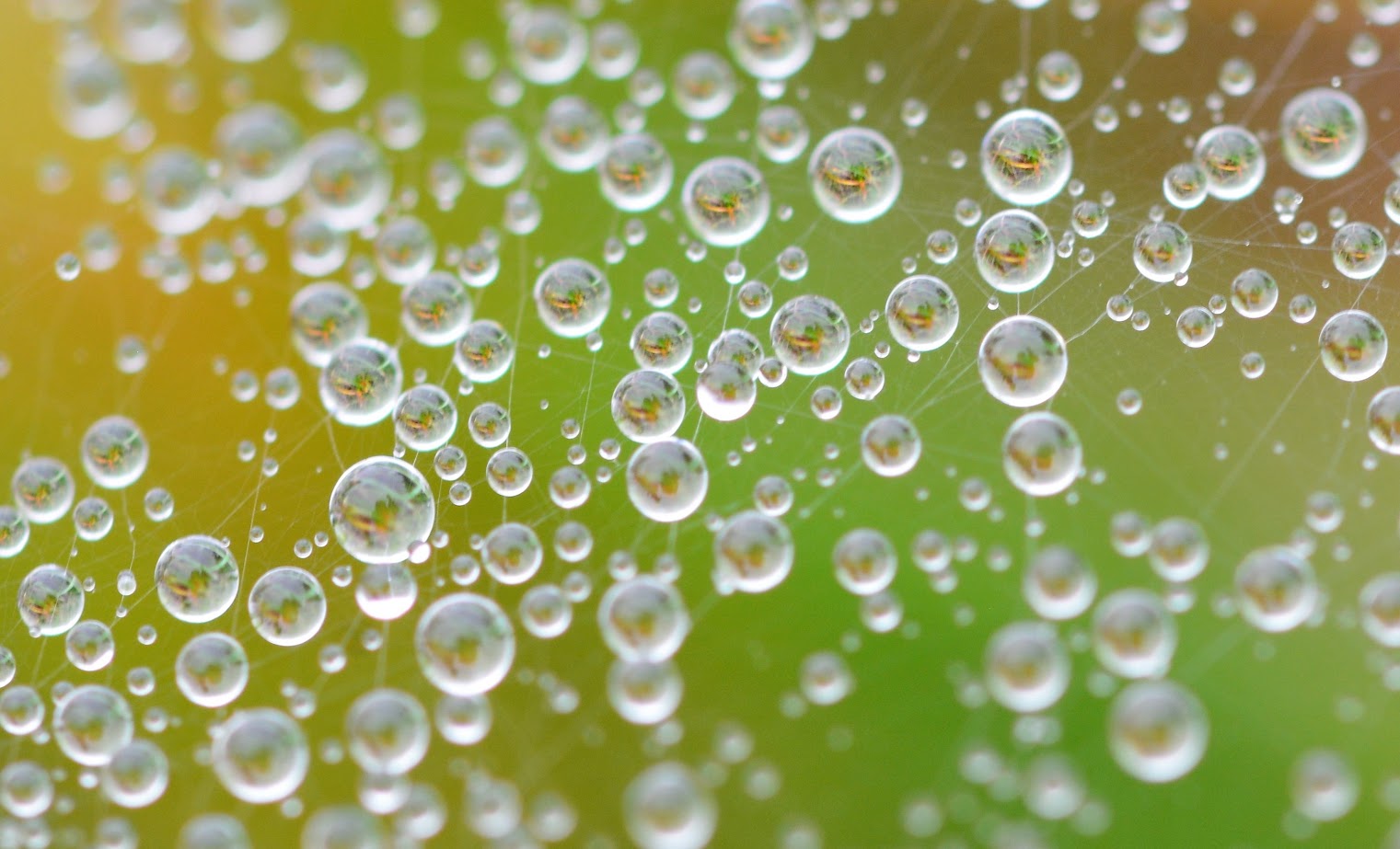 CWRA_Flows's tweet card. March 8, 2024 1:00 PM ET: CSHS Workshop: Time Series and Random Fields in Hydroclimatology –...