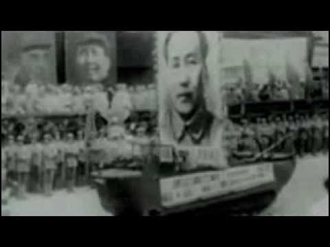 ExerciseFreedom's tweet card. The American Form of Government