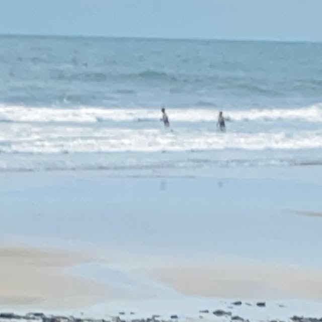 Elements_action's tweet card. Esther (@esty_ger) • Instagram photo