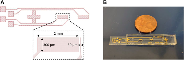 Eleventhstar1's tweet card. MicroRNAs (miRNAs) are biomarkers involved in biological processes that are released by cells and found in biological fluids like blood. Since the detection ...