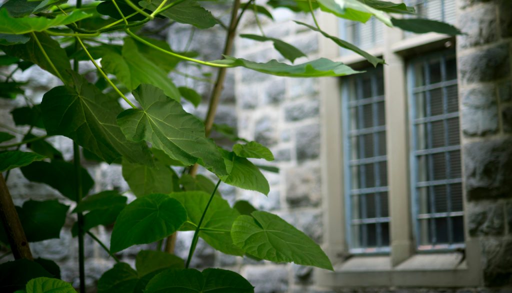 virginia_tech's tweet card. In cities across America, there has been a recent, disturbing surge in random, unprovoked violence and harassment targeted toward the Asian community. The murder of eight people, including six of...