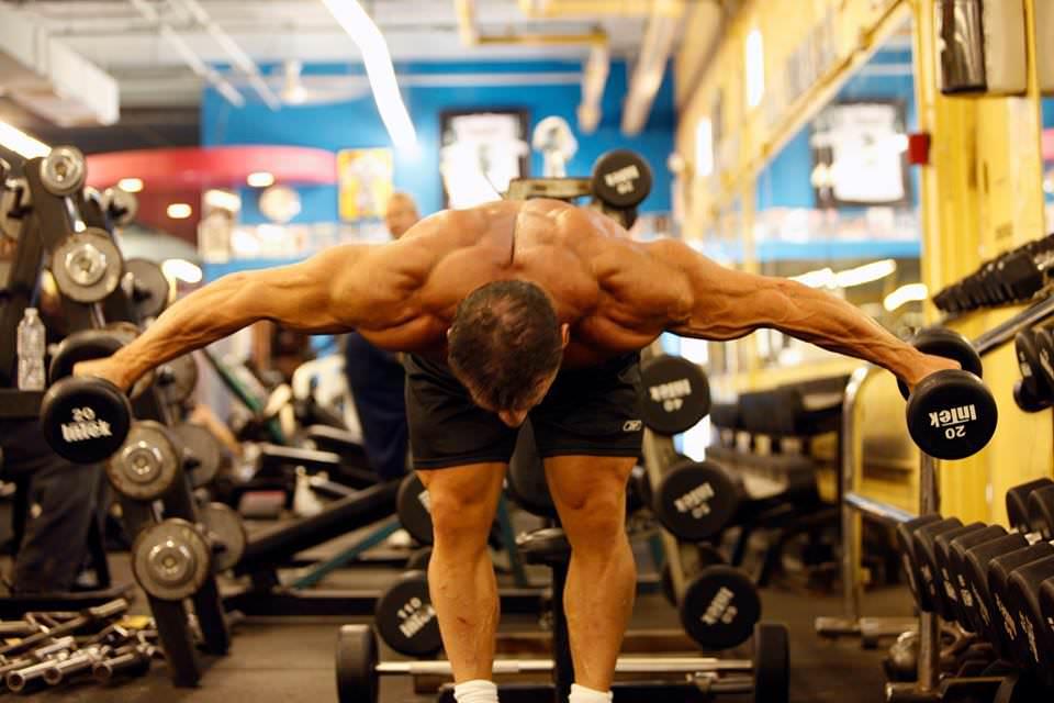 Infinite_Labs's tweet card. Ultimate Circuit Training Workout By Joe Palumbo, IFBB Pro The principle of circuit training is to utilize a group of strength exercise one right after another. Sounds simple right? Well if done...