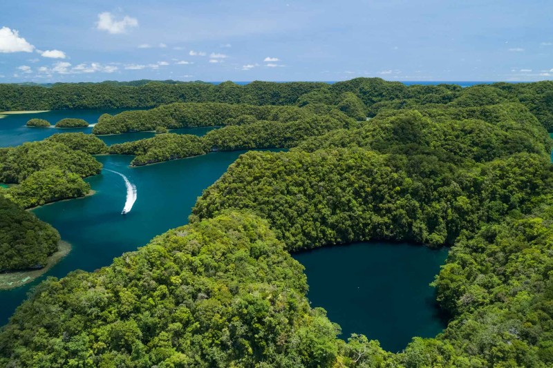 lightningstrpro's tweet card. A Palauan newspaper publisher entered into a media deal with a company that turned out to have connections to Chinese security services. The deal fell through, but it highlights China’s efforts to...