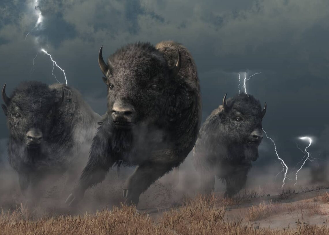 blackbeargo's tweet card. After several postponements, the Ethereum Shanghai upgrade which will allow for the withdrawal of staked ETH on several platforms, now...