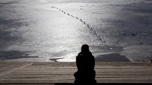 cassiewerber's tweet card. In 2009, two US professors set out to study zookeepers and aquarium workers in an effort to discover what kept them motivated at work.