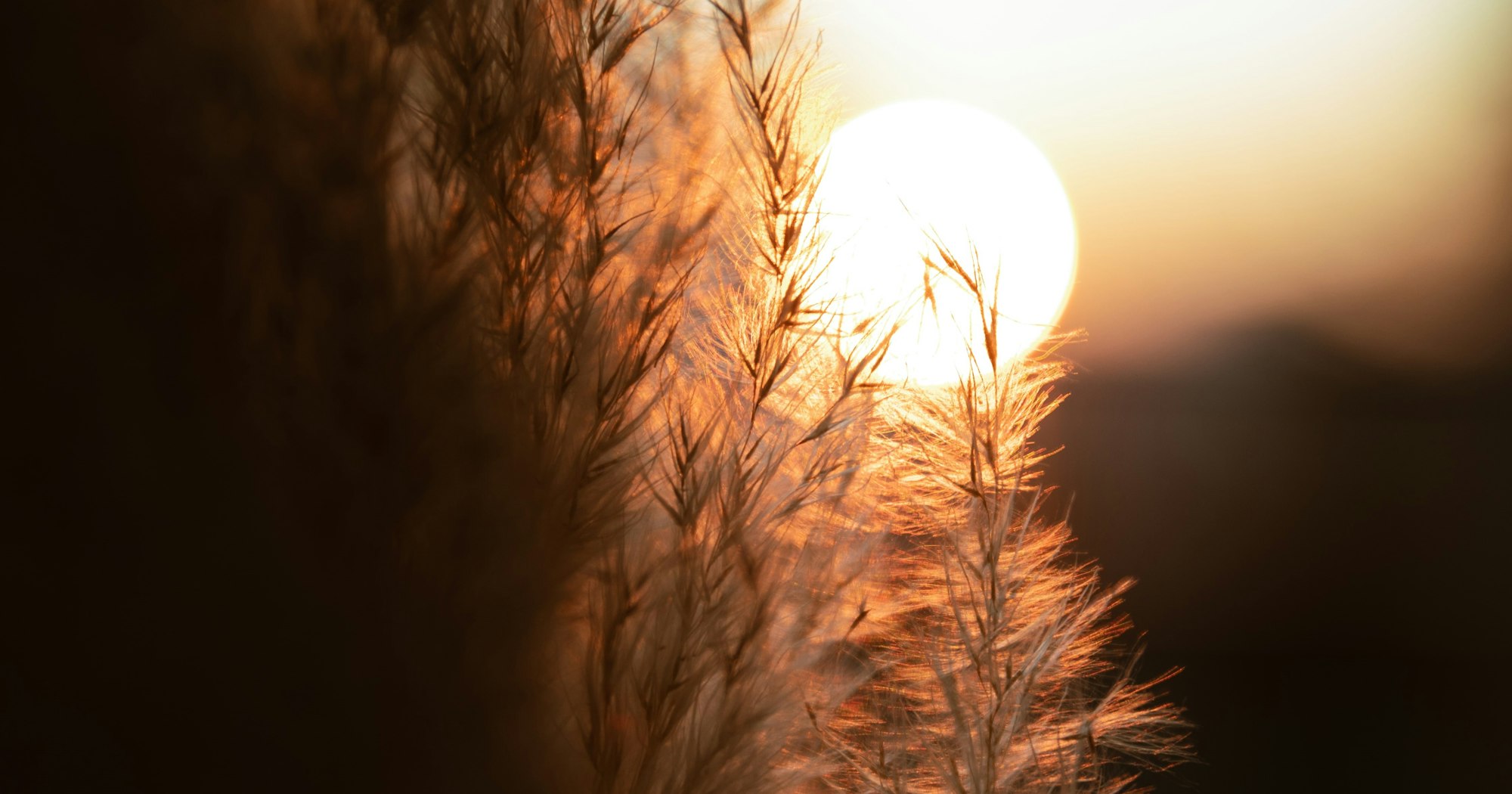 davidcmathis's tweet card. Narnia, Lord of the Rings, Harry Potter — the best stories reward re-reading. And none matches the one we rehearse each spring as Easter approaches.