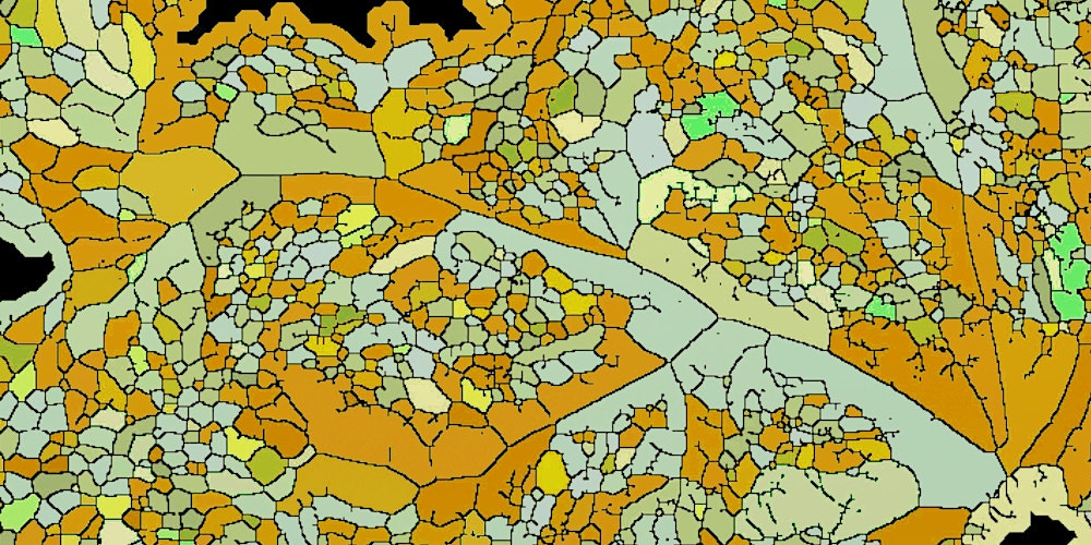 shalinhnaik's tweet card. Oz Single Cell 2020 Virtual Poster Session. 2nd December