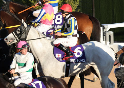 goku_uma's tweet card. 4番人気ガイアフォース（牡6、杉山晴）は2着だった。スタート決めてジャンタルマンタルの後ろで道中を運んだ。直線は馬群の中からもうひと伸びして連対を死守した。G… - 日刊スポーツ新聞社のニュースサイト、ニッカンスポーツ・コム（nikkansports.com）