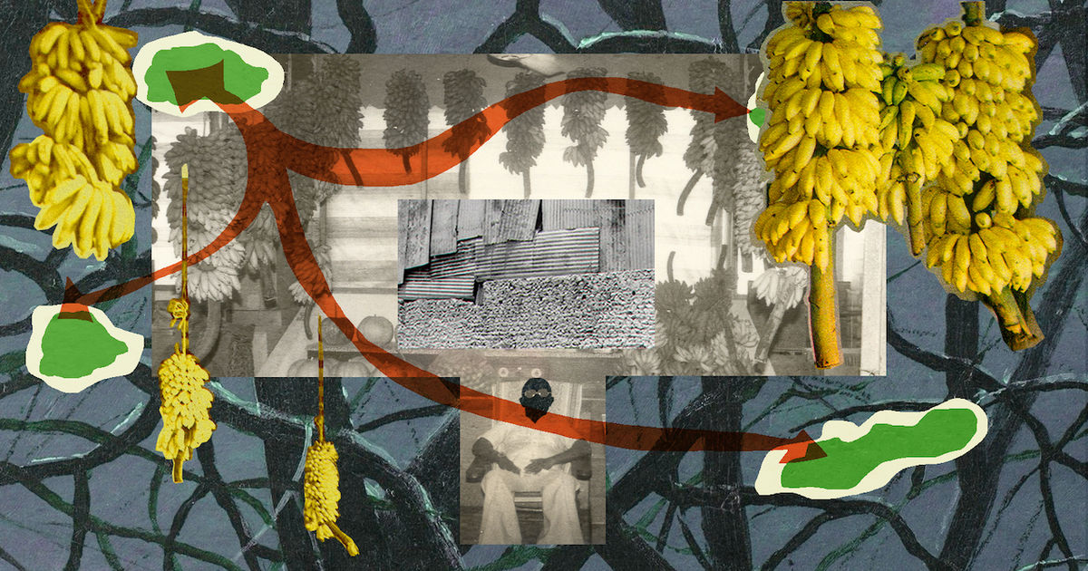 IndependentMV's tweet card. President Muizzu handed out Malé's land almost for free.