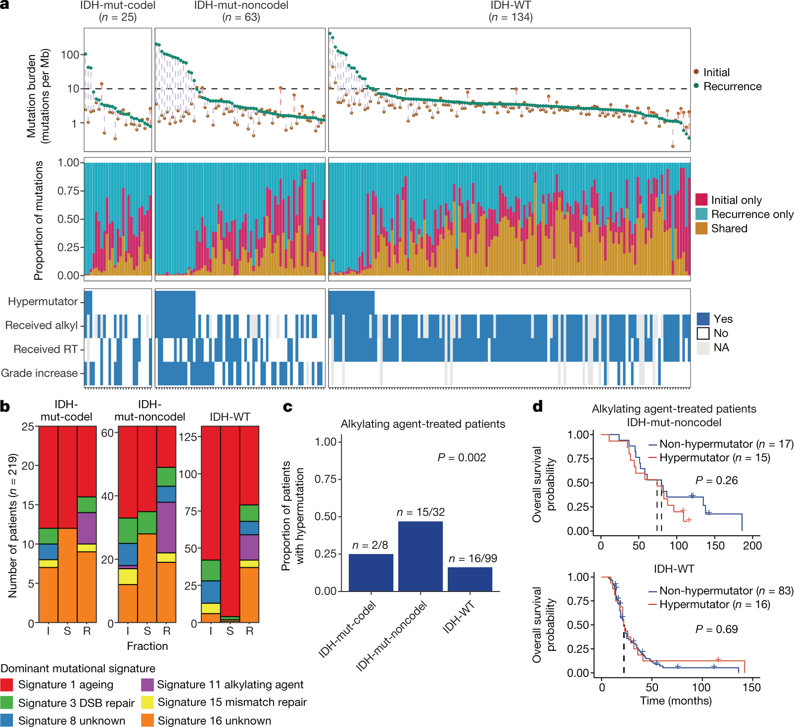 LucyFStead's tweet card. Nature - The GLASS Consortium studies the evolutionary trajectories of 222 patients with a diffuse glioma to aid in our understanding of tumour progression and treatment failure