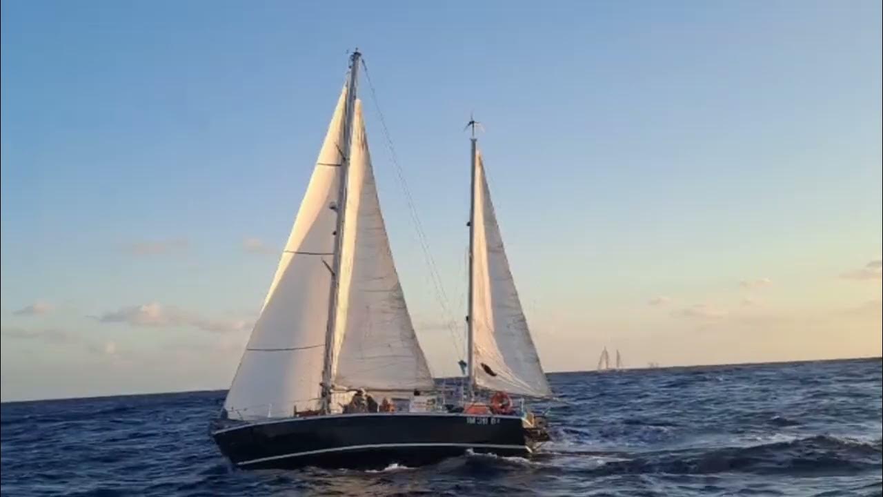 okupemlesones's tweet card. La Global Sumud Flotilla especial para LaMosca