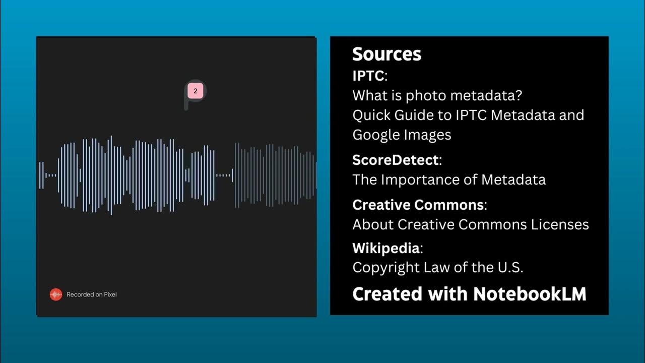 NinaTrankova's tweet card. Photos Metadata Definition, Types, Relevance