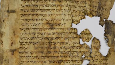 mosheshochat's tweet card. פרויקט המבוסס על מאגר המידע הדיגיטלי של כתבי היד העבריים של הספרייה הלאומית יאפשר בפעם הראשונה תעתוק אוטומטי של כל הגניזה הקהירית. בכך, יהפכו הטקסטים של האוסף הגדול של כתבי היד והספרים היהודיים...