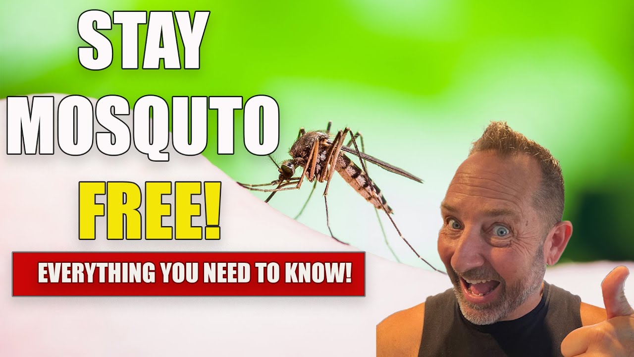 HowToPest's tweet card. Craig’s Thoughts on Mosquitoes | Best DIY Tips to Stay Mosquito-Free
