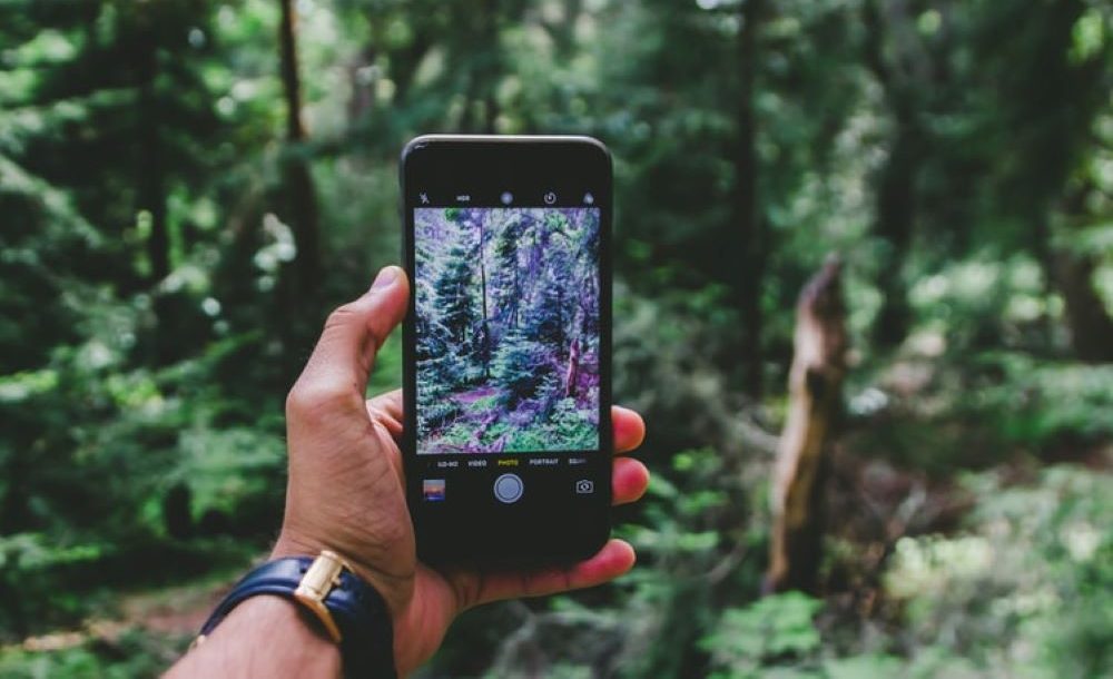 TiCLme's tweet card. The Tree Council has teamed up with TiCL Media to help people to enjoy trees and share their experiences as they are out walking. What can a TiCL App #TreeTrail do for you?Using a TiCL App #TreeTrail...