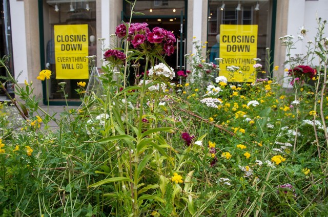 PlanDemoc's tweet card. Last night we launched our report on our Community Led Study into the Impact of NPF4 Biodiversity Policies. At a packed event in the Scottish Parliament we detailed the results of our study and put…